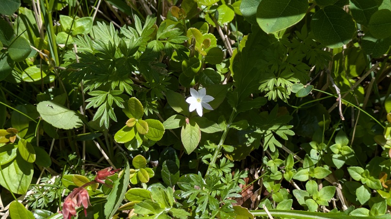 PXL_20250628_003854407.jpg