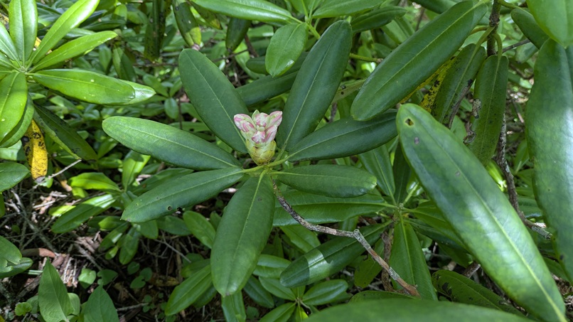 PXL_20250628_004131714.jpg