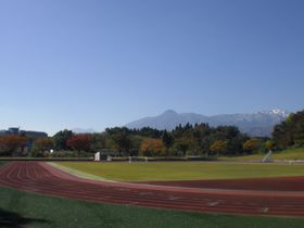 【お知らせ】4月3日(土)に「新井総合公園」グリーンシーズンの営業を開始します‼