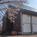 【重要】あらいジュニアスポーツクラブ「体操クラブ」からの連絡です!!