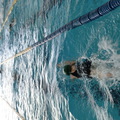 夏休み!挑戦してみよう!夏のメダカ水泳教室!