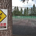 【お知らせ】新井総合公園・テニスコート「ハチの巣」発見につき使用禁止!!