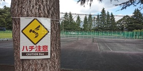 【お知らせ】新井総合公園・テニスコート「ハチの巣」発見につき使用禁止!!
