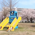 「ロボット公園」の【桜】が見ごろを迎えました!!