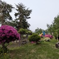 「ロボット公園」の