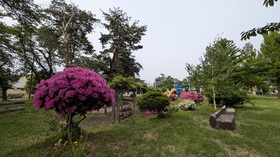 「ロボット公園」の 