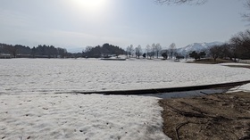 【予告】R8年度『新井総合公園』